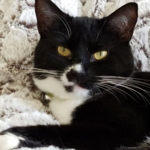 Meet your Posher, Pam